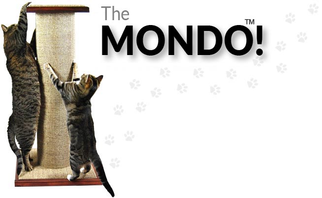 The Mondo! The MONDO™