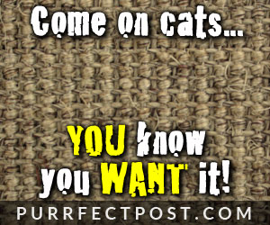 Come and get it! You know you want this satisfying sisal fabric...