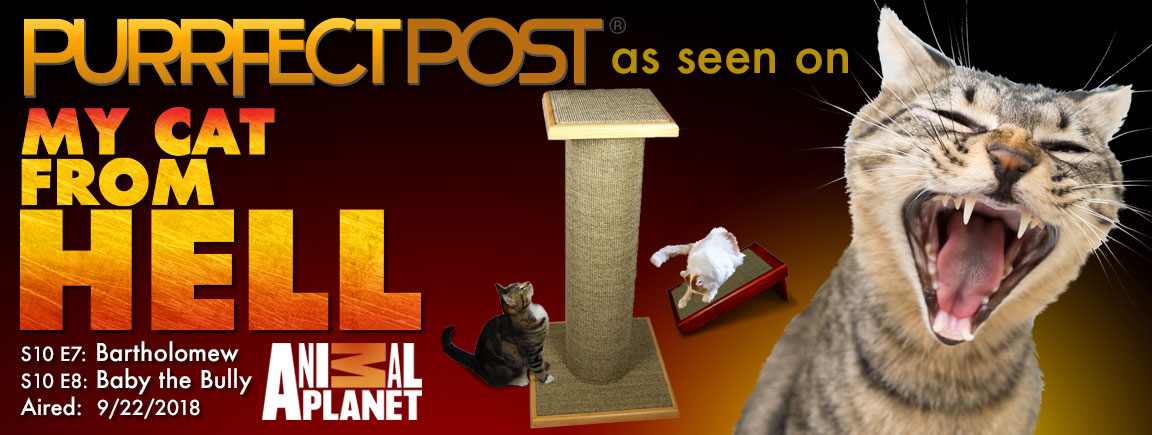 Check out the Purrfect Post as seen on My Cat From Hell - Aired 9/22/18