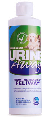 Check out the Urine Away enzymatic cleaner Urine Away