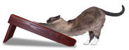 Cats need multiple types of scratching surfaces. Angle scratchers are great for variety.