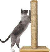 The trim color options allow flexibility when matching your home decor. Charlie kitty is loving how sturdy the Purrfect Post is.