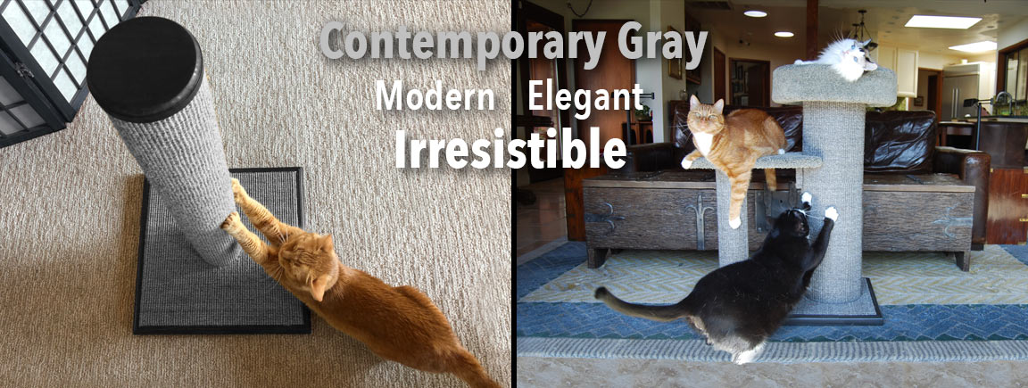 Modern, Elegant, Irresistible Contemporary Gray