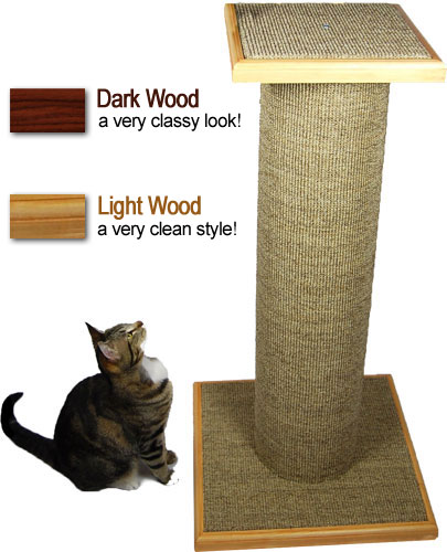 Fancy likes the dark wood Mondo, but what will you prefer? The Mondo comes in dark and light wood trim.