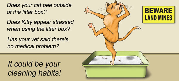 Does your cat pee outside the litter box? Does Kitty appear stressed when using the litter box? If so, you should first go see your veteranarian. But it could be your cleaning habits!