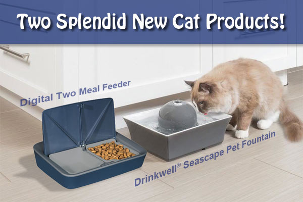 drinkwell seascape pet fountain