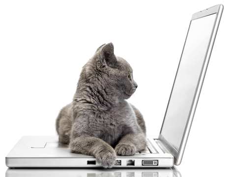 Sign up for our newsletter