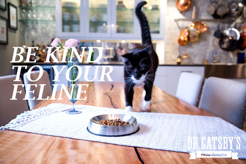 Whiskers Cat Food Bulk Buy Whiskers Cat Food Bulk Buy