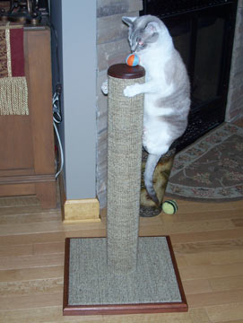 A wobbly post is dangerous for cats and kittens. Cats need a sturdy post that won't wobble or fall