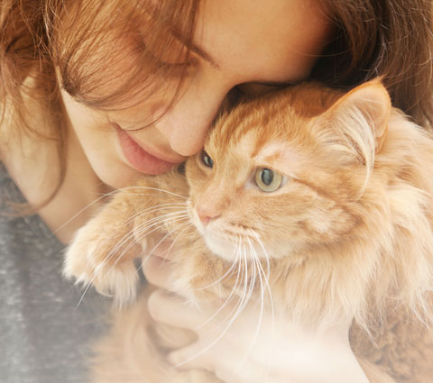 Cat care and comfort products beloved by veterinarians.